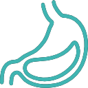 stomach icon